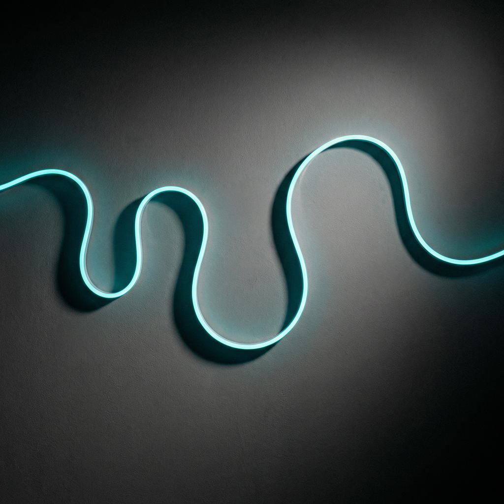 RGB Neon LED Strip